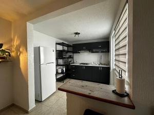 a kitchen with black cabinets and a white refrigerator at Casa de Lucas in Balvanera