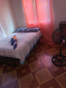 a bed in a room with a window and a fan at BBV Properties in Belmont