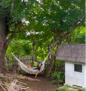 ギリ・トラワンガンにあるSunrise Temple villaの木の中に横たわる女