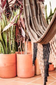a row of potted plants on a tile floor at Apartamento QUIRA 2 in Villa de Leyva