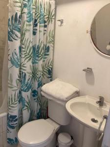 a bathroom with a toilet and a sink and a shower curtain at D11-4 Depto diario Arica in Arica