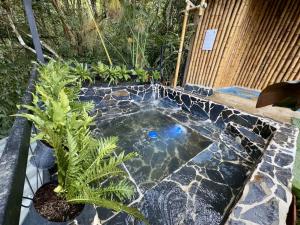 Zahrada ubytování MACA GLAMPING