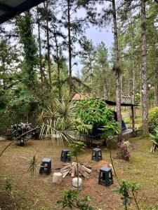 Zahrada ubytování Unique & Affordable Glamping