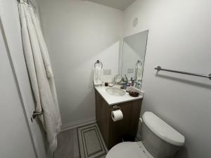 a bathroom with a toilet and a sink and a mirror at Brand New 2 story unit in Richmond Hill