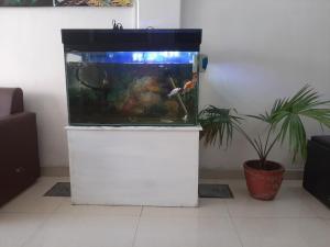 Mynd úr myndasafni af Hotel Lake n Yeti í Pokhara