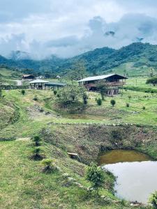 a house on a hill next to a body of water at Nodriza House in Baeza