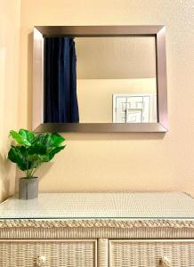 un espejo en una pared con una planta en un mostrador en The Palm Comfortably luxurious family home, en Meridian