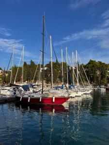 a group of sailboats are docked in a harbor at Apartment Milna Dante in Milna +20 photos