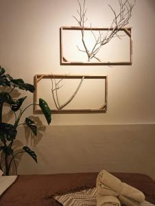 a mirror on a wall next to a plant at Senju Georgetown Heritage PrewarHouse 4BR 5-15 pax in George Town