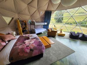 LivingstoneにあるDanseys Pass Lavender Farm Retreatのベッドルーム(テント付)、リビングルーム