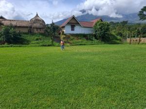 Loodusmaastik of the country house lähedal