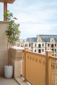 a plant in a pot on a balcony with a building at Villa 5 brs Bao Ninh Legend walk street in Dong Hoi