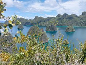 - une vue sur un lac avec des rochers dans l'eau dans l'établissement Wainai Homestay, à Yennanas Besir 31 autres photos
