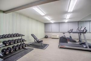 Fitness centrum a/nebo fitness zařízení v ubytování Holiday Inn & Suites Parsippany Fairfield by IHG
