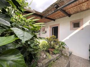 an outside view of a house with plants at Casa a' Gnazia in Santa Marina Salina +13 photos