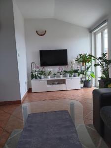 TV a/nebo společenská místnost v ubytování Apartman SARA