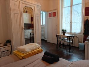 Kuchyň nebo kuchyňský kout v ubytování Studio Grand hôtel Châtel Guyon