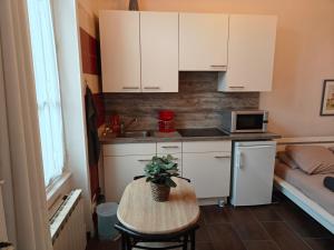 Kuchyň nebo kuchyňský kout v ubytování Studio Grand hôtel Châtel Guyon
