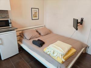Postel nebo postele na pokoji v ubytování Studio Grand hôtel Châtel Guyon