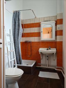 Koupelna v ubytování Studio Grand hôtel Châtel Guyon