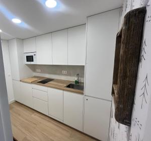 Kuchyň nebo kuchyňský kout v ubytování IMEDA Apartamentos MONTE GORBEA