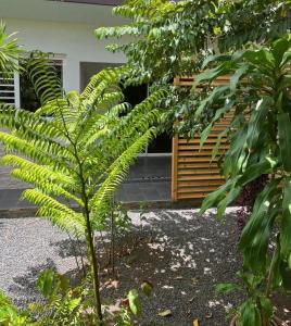 Pare LODGE TAHITI外面的花园