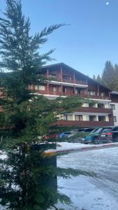 a apartment building with a tree in front of it at Velvet by Poiana Brasov in Poiana Brasov