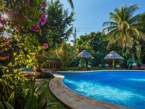 a swimming pool with chairs and umbrellas and trees at Villas HM Paraiso del Mar in Holbox Island