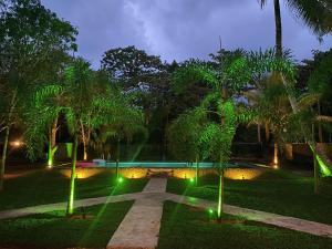 a garden at night with palm trees and lights at Dana Villa in Bentota