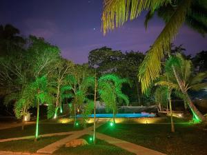 un jardín con luces verdes por la noche en Dana Villa, en Bentota