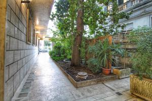 un cortile con piante e un albero in un edificio di Roma Centro CDR Luxury Suites a Roma