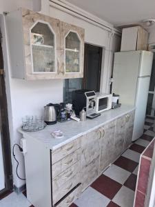 een keuken met een aanrecht en een koelkast bij Casa 15 in Boekarest