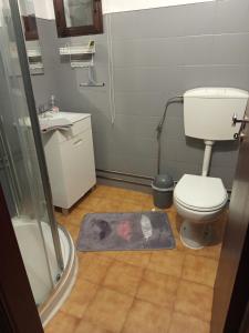 a bathroom with a shower and a toilet and a rug at Moradia Lili in Ronqueira