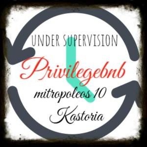 Certifikát, hodnocení, plakát nebo jiný dokument vystavený v ubytování Signora Despina's