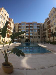 a plant in a pot in front of a building at Rivoli Suites in Hurghada