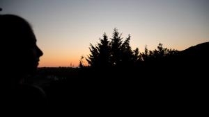 Przyroda w pobliżu tego obiektu B&B