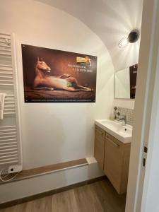 a bathroom with a poster of a horse on the wall at Appartement "Poulain" en Centre-ville linge inclus in Blois +10 photos