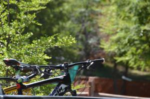 a bike parked in front of some trees at Cabañas Manquecura in Las Trancas