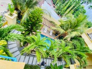 Bazén v ubytování Sorenzo Maldives nebo v jeho okolí