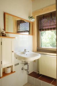 a bathroom with a sink and a window at Pension und Gastwirtschaft Mareile am Rennsteig in Rodacherbrunn +24 photos