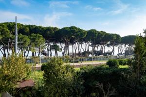 Φυσικό τοπίο κοντά σε αυτό το διαμέρισμα