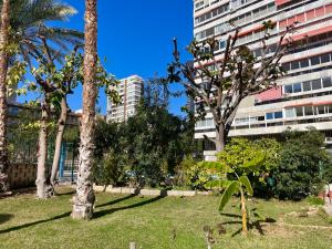 park z palmami przed budynkiem w obiekcie Relax y Confort, Apartamento Reformado con Piscina w mieście Benidorm