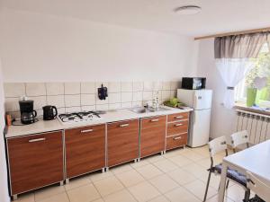 a kitchen with a sink and a refrigerator at Willa Przybyszówka in Solec-Zdrój