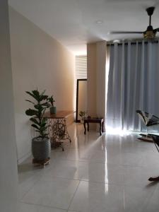 CeretéOasis Olmos的客厅,地板上放着盆栽植物