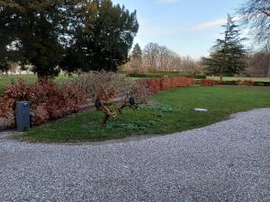 um jardim com uma árvore no meio de uma estrada de cascalho em Gartnerboligen Fuglsang em Toreby