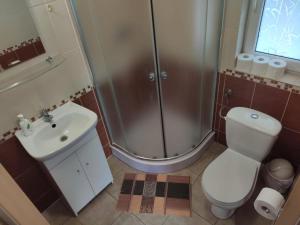 een badkamer met douche, toilet en wastafel bij Bieszczady111 in Polańczyk +37 foto's