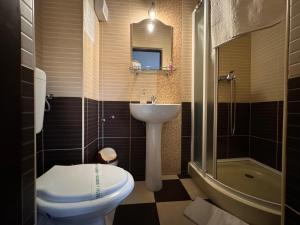 a bathroom with a toilet and a sink and a shower at Casa Anamaria in Baile Felix +44 photos