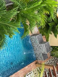 Bazén v ubytování Sorenzo Maldives nebo v jeho okolí