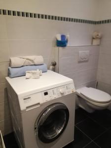 eine Waschmaschine in einem Badezimmer mit Toilette in der Unterkunft Stylish & Spacious Apartment with Patio in Stams + 19 Fotos