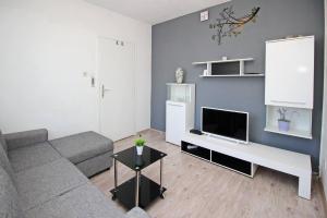 TV a/nebo společenská místnost v ubytování Apartment Plese